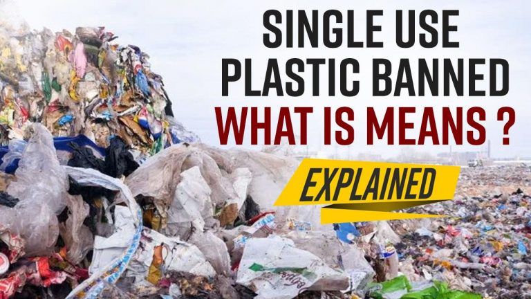 Single Use Plastic Ban: What is Single Use Plastic And Why it Was Important to Ban in India Explained | Watch Video